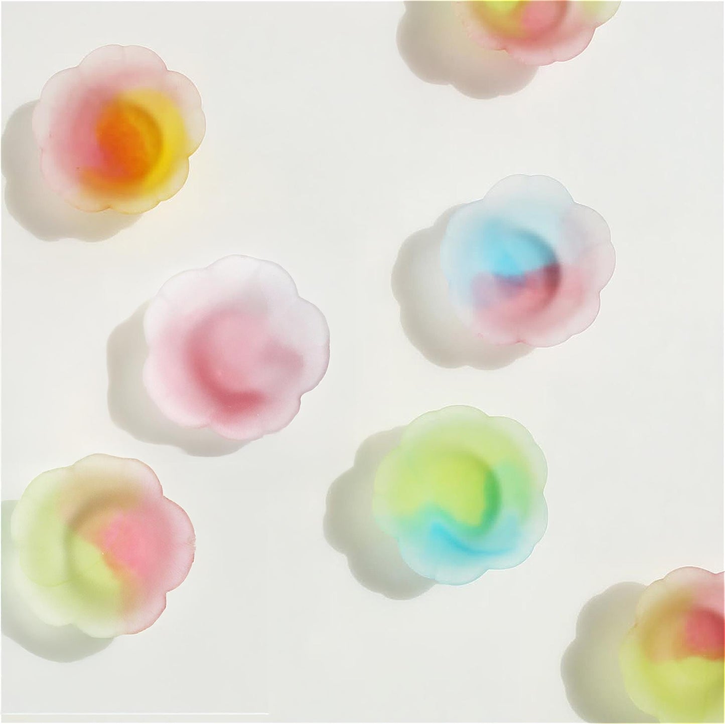 Sakura Sake Glass/Side Dish Collection - Multi Color Cherry Blossom