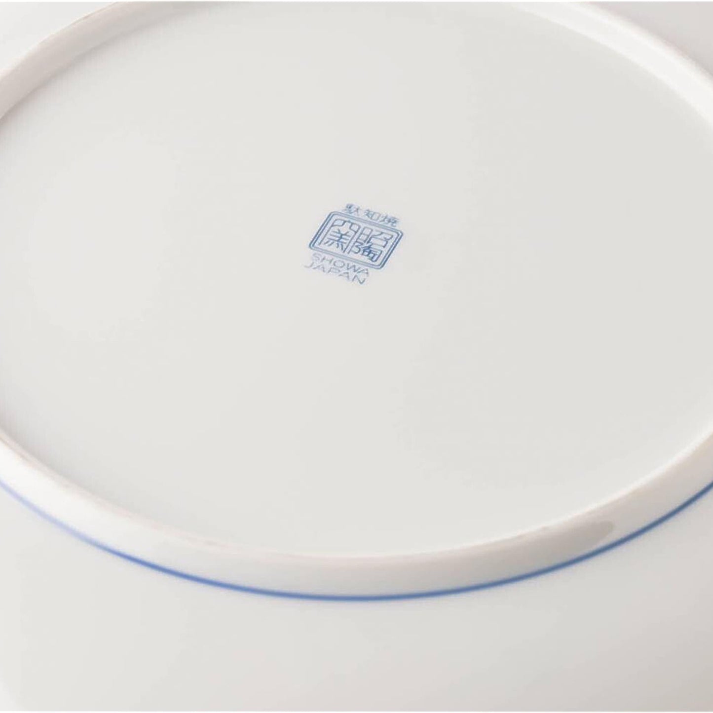 White ceramic plate with blue rim on a white background