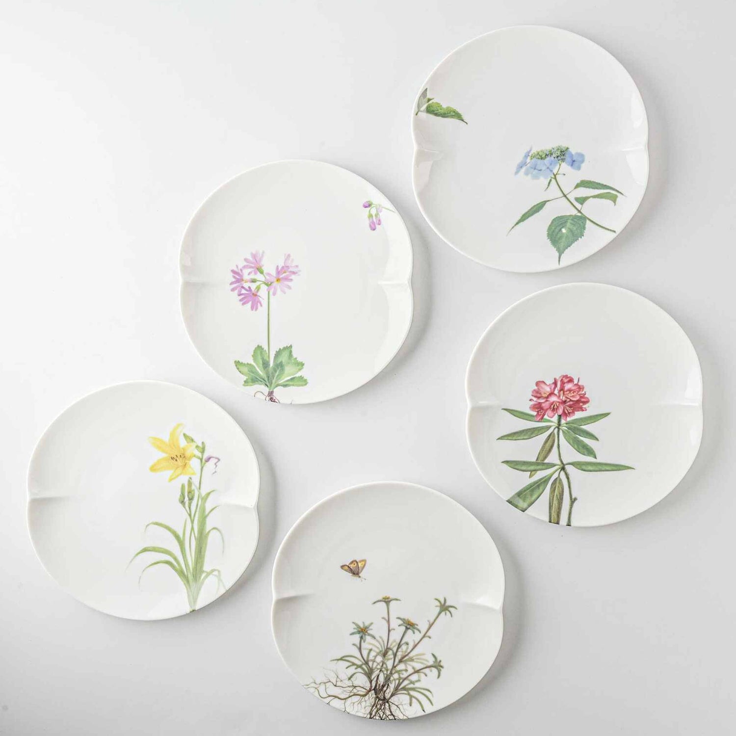 Mt. Tanigawa Botanical Plates Mino Ware