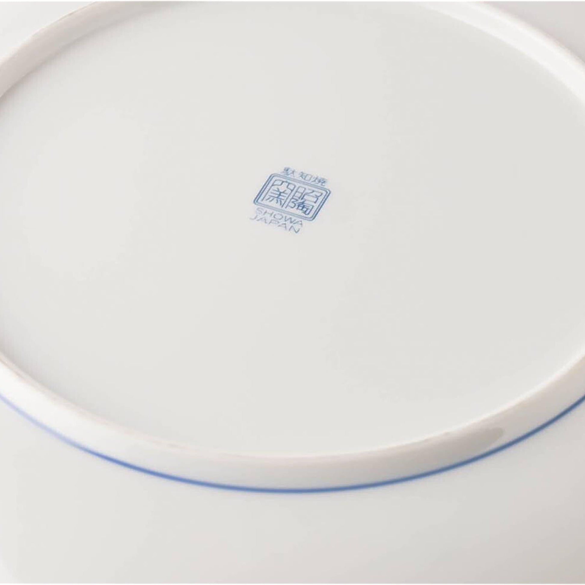 White ceramic plate with blue rim on a white background