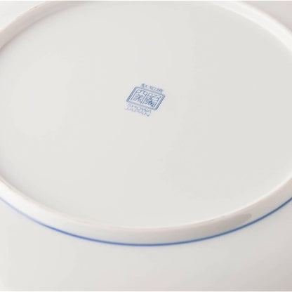 White ceramic plate with blue rim on a white background