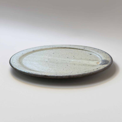 Ceramic plate with a speckled glaze on a white background