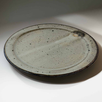Speckled ceramic plate on a white background