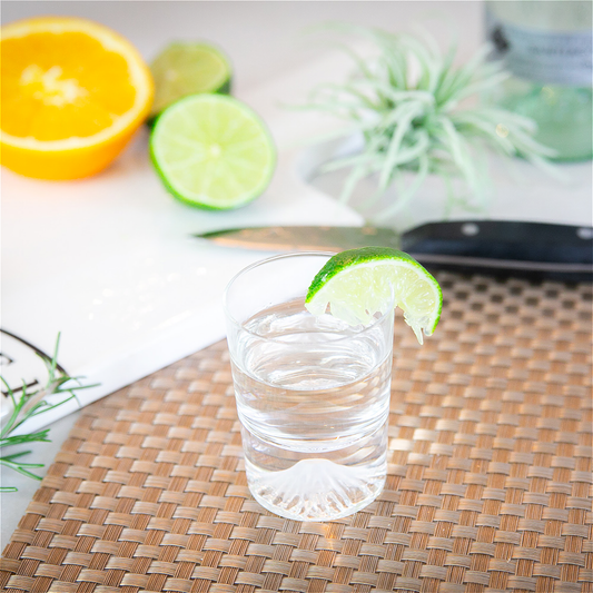 Mt. Fuji Double Shot Glass by Tajima Glass