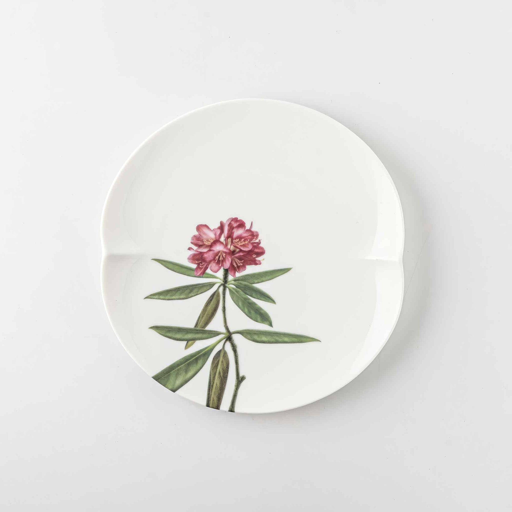 A white, 6-inch porcelain plate with a delicate Yezo Hydragea design.