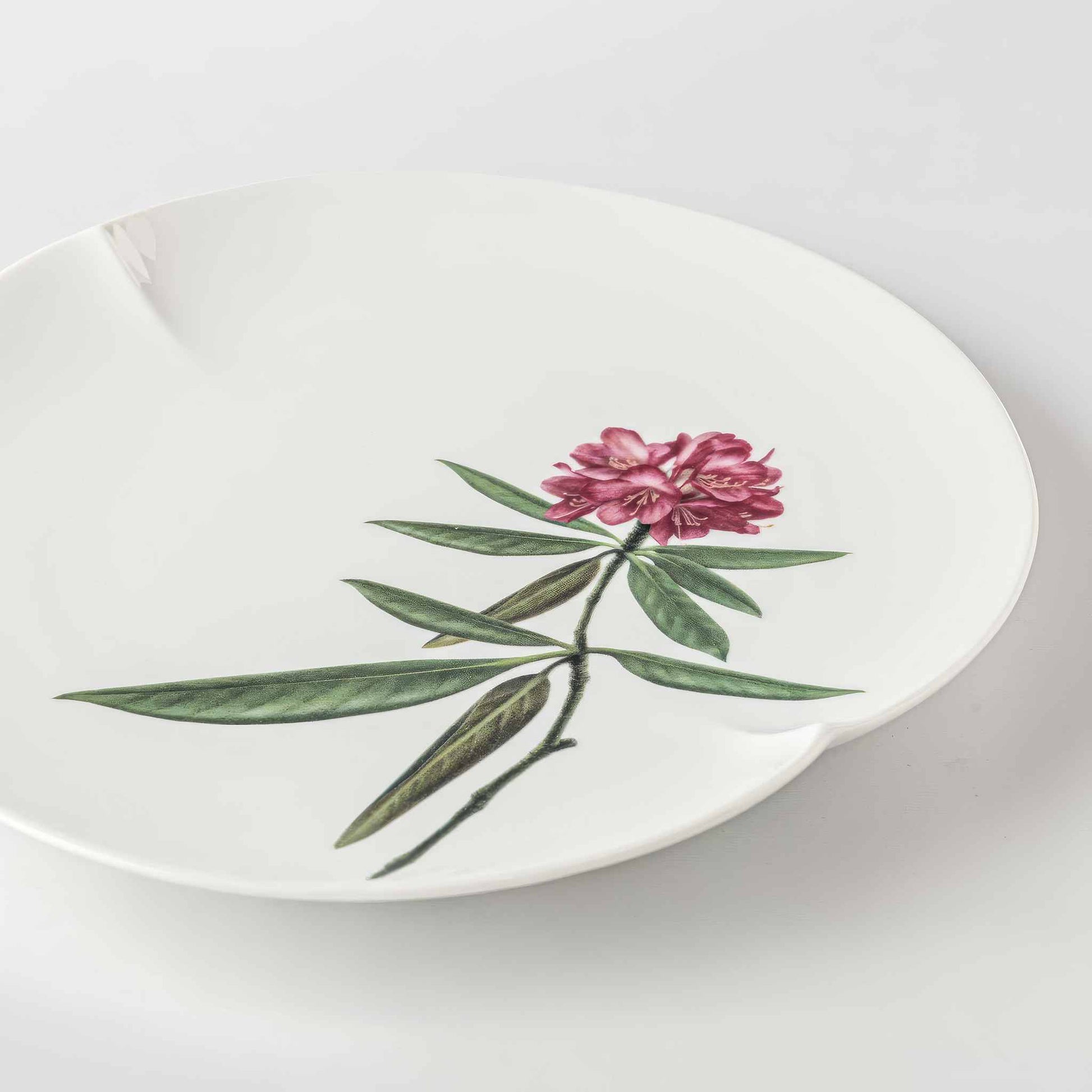 Set of five 6-inch Mino ware botanical plates with different plant illustrations.