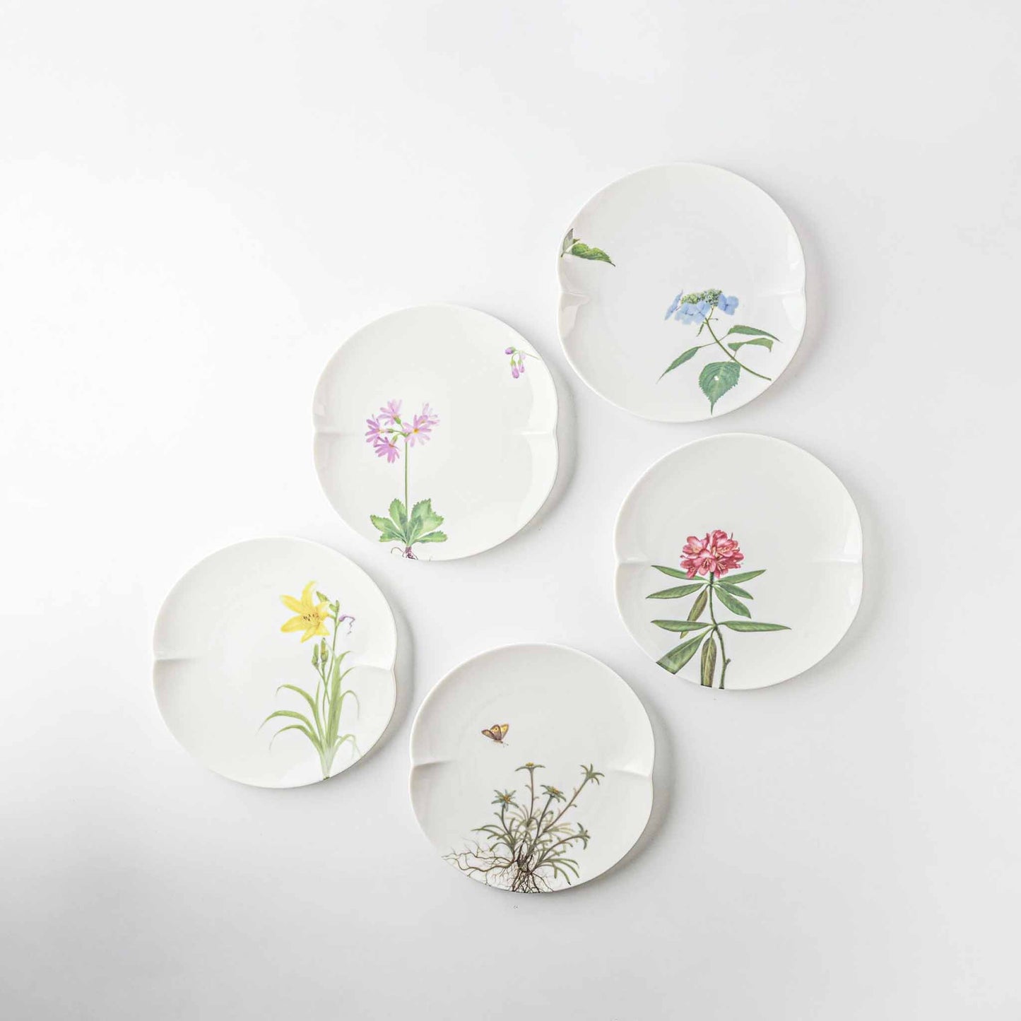 Set of five ceramic plates with floral designs on a light gray background