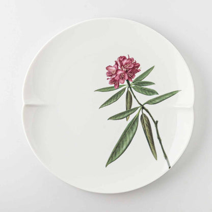 A white, 8-inch porcelain plate with a delicate Yezo Hydragea design.