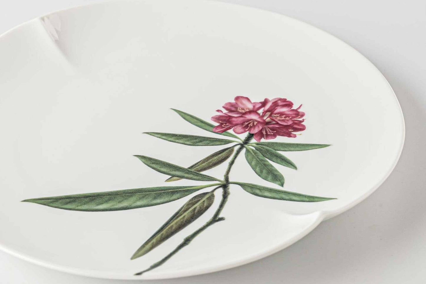 Set of five 8-inch Mino ware botanical plates with different plant illustrations.