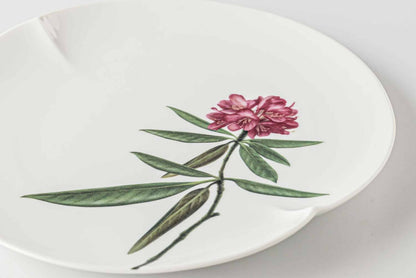 Set of five 8-inch Mino ware botanical plates with different plant illustrations.