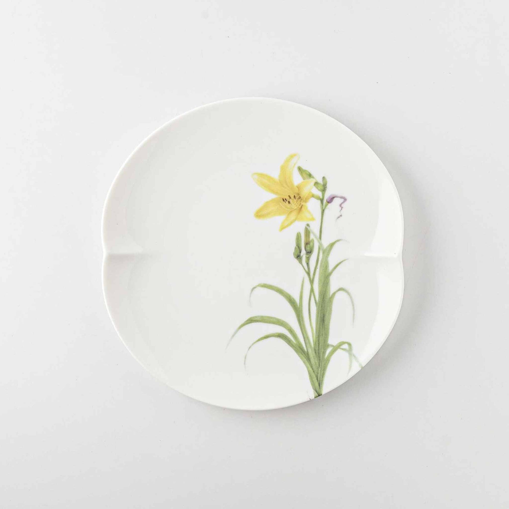 A white, 6-inch porcelain plate with a delicate illustration of a daisy in soft, pastel colors.