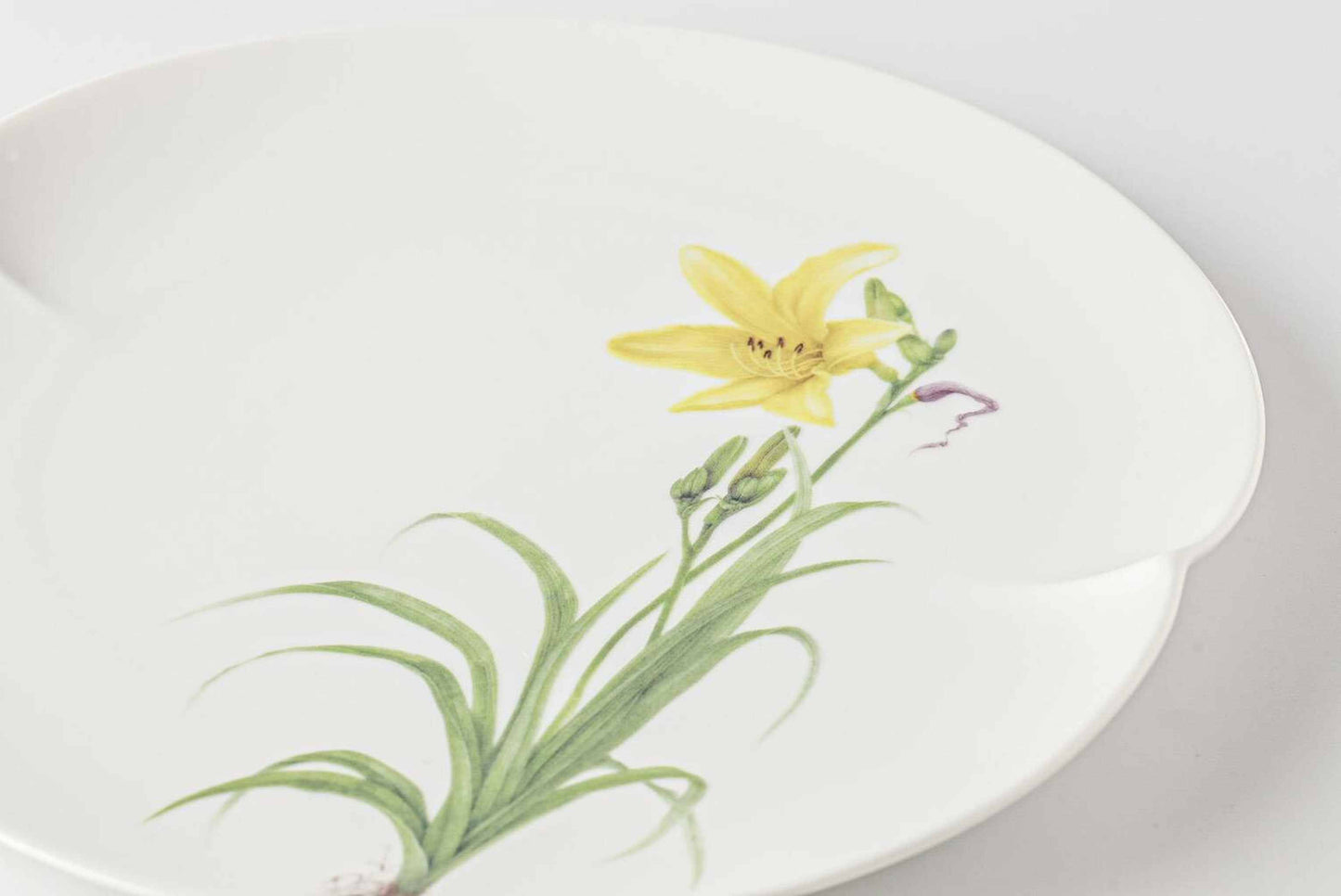 A white, scalloped-edged porcelain plate with a delicate, hand-painted yellow daisy design.