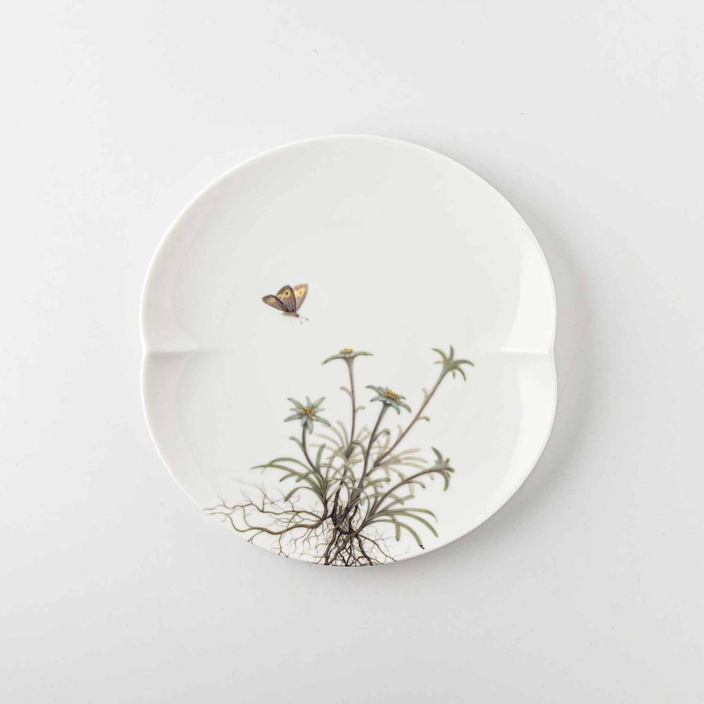 A white, 6-inch porcelain plate with a delicate, hand-painted daisy design.