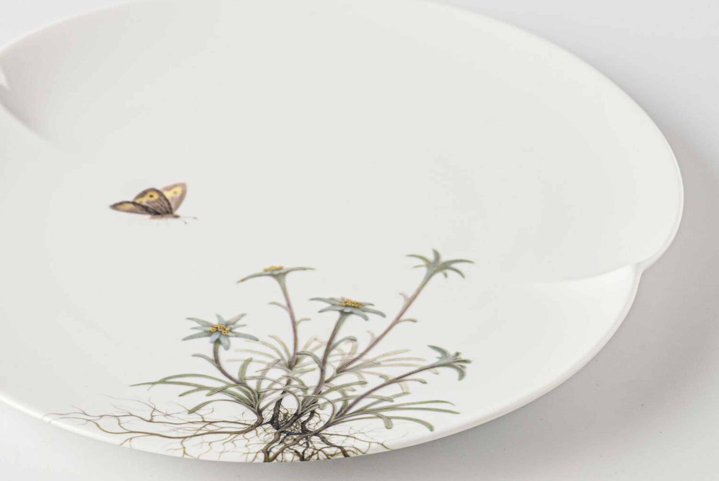 A delicate white porcelain plate with a small daisy design, set against a plain white background.