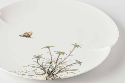 A delicate white porcelain plate with a small daisy design, set against a plain white background.