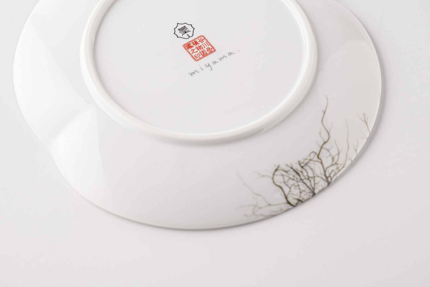 A delicate, white, ceramic plate with a botanical daisy design, set against a plain white background.