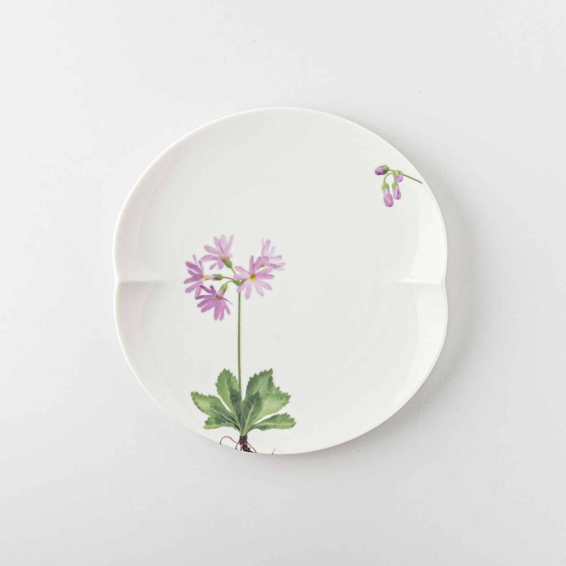 A delicate white porcelain plate with a small, pale purple daisy and green leaves, set against a plain white background.