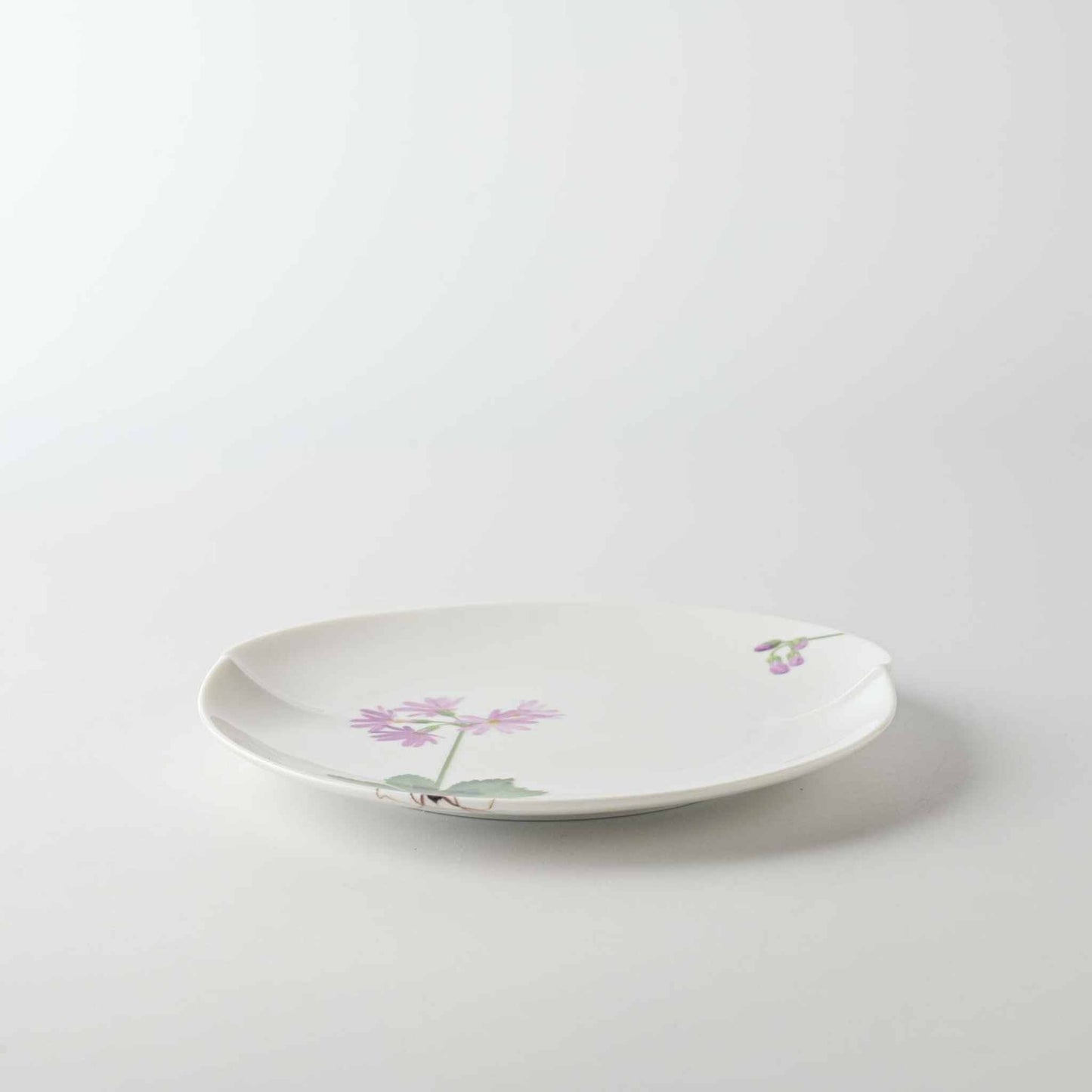 A delicate white porcelain plate with a small, vibrant daisy design in soft pink and green.