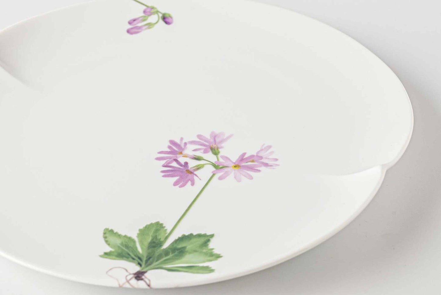 A delicate white porcelain plate with a beautiful, hand-painted daisy design in soft pink and green.