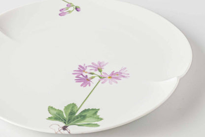A delicate white porcelain plate with a beautiful, hand-painted daisy design in soft pink and green.
