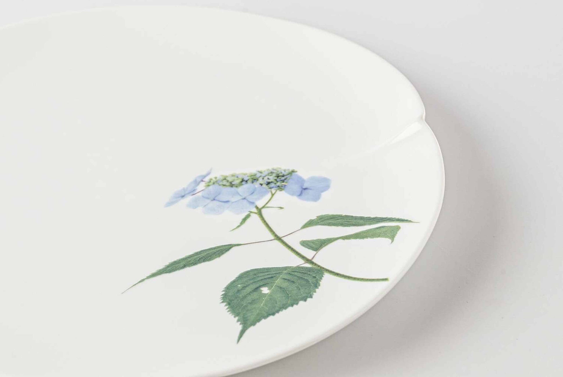 A delicate, white, porcelain plate with a small, blue daisy design.
