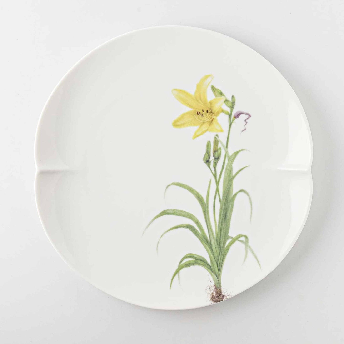 A white, 8-inch ceramic plate with a delicate, hand-painted daisy design in soft, natural colors.