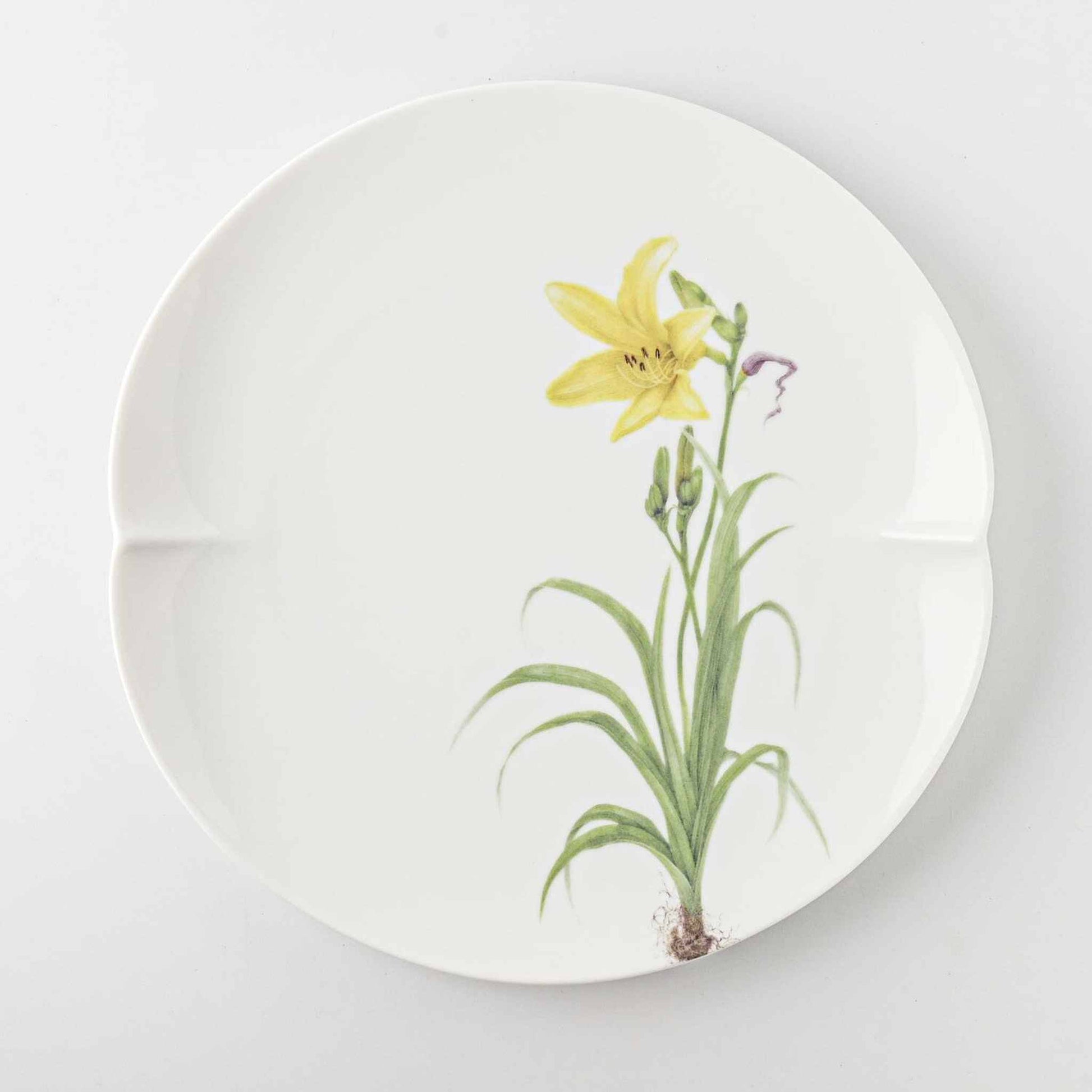 A white, 8-inch ceramic plate with a delicate, hand-painted daisy design in soft, natural colors.