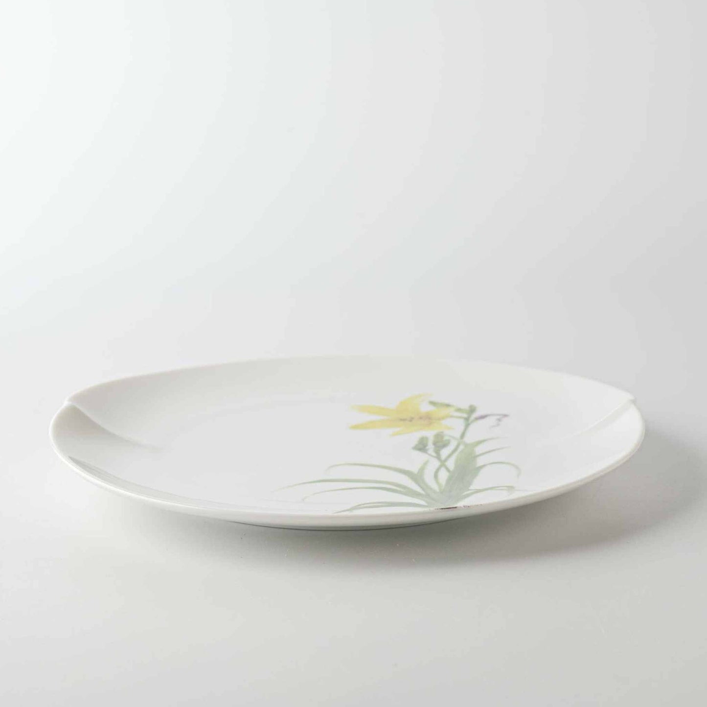 Delicate hand-painted daisy on a medium white porcelain plate with a gently curved rim.