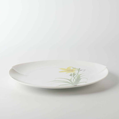 Delicate hand-painted daisy on a medium white porcelain plate with a gently curved rim.