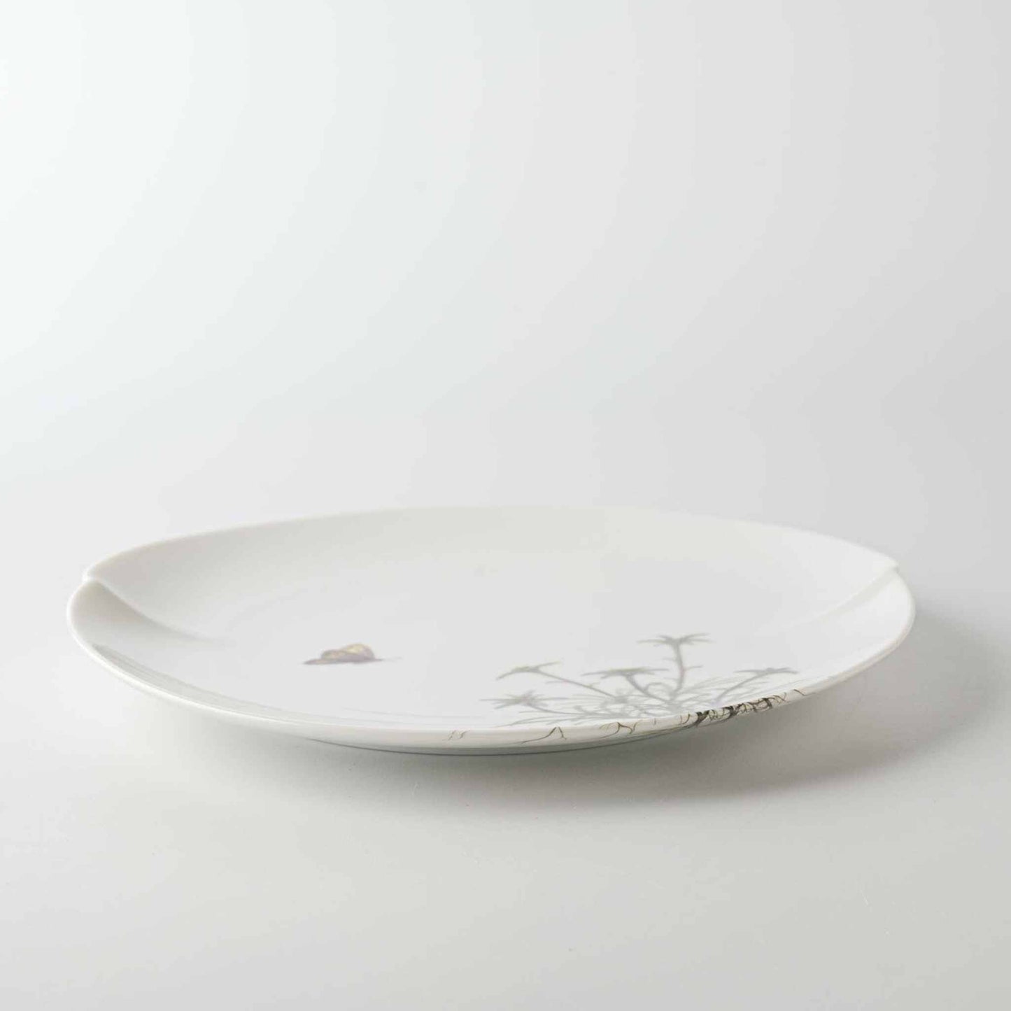 A delicate, white, hand-painted daisy patterned porcelain plate with a slightly wavy rim, set against a plain white background.