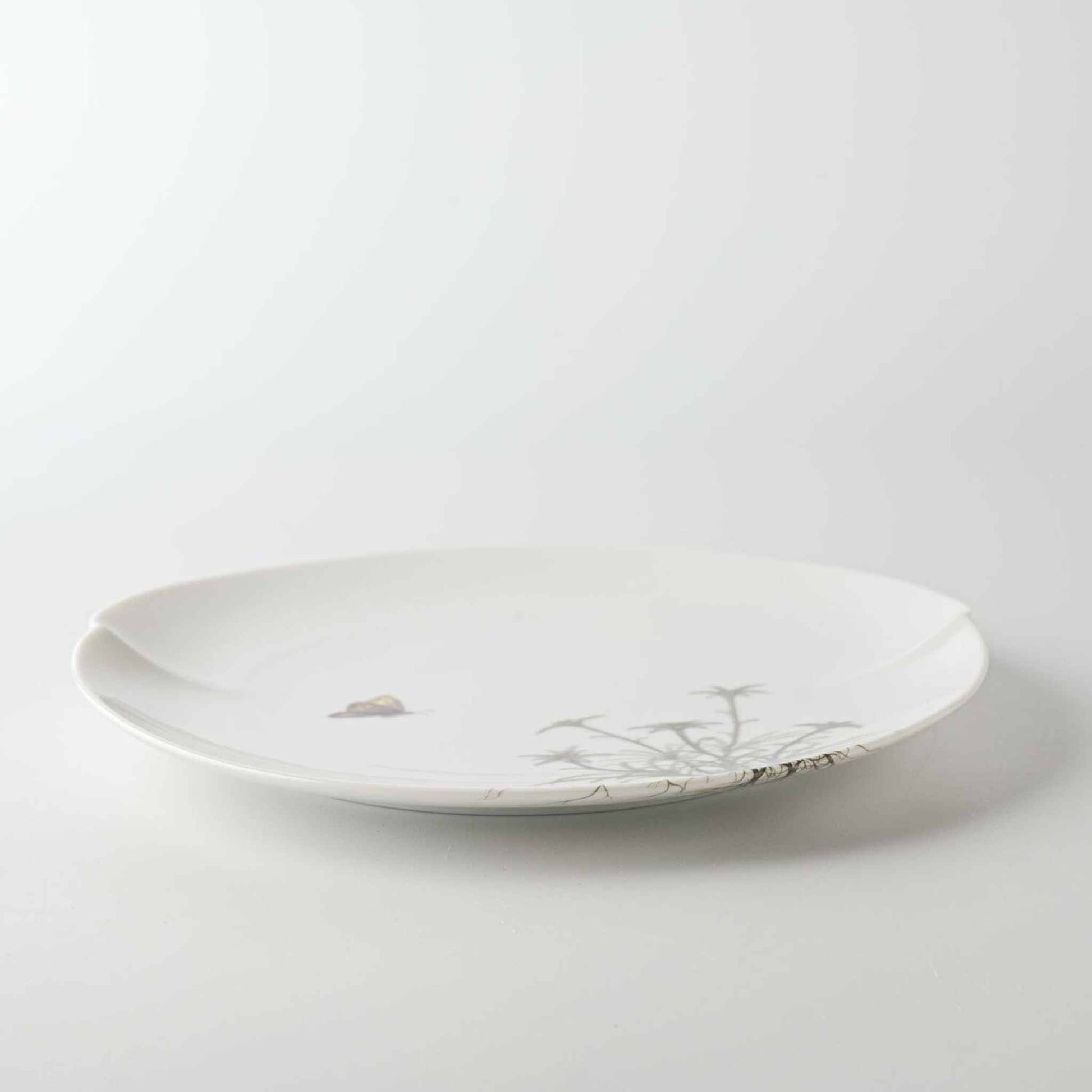 A delicate, white, hand-painted daisy patterned porcelain plate with a slightly wavy rim, set against a plain white background.