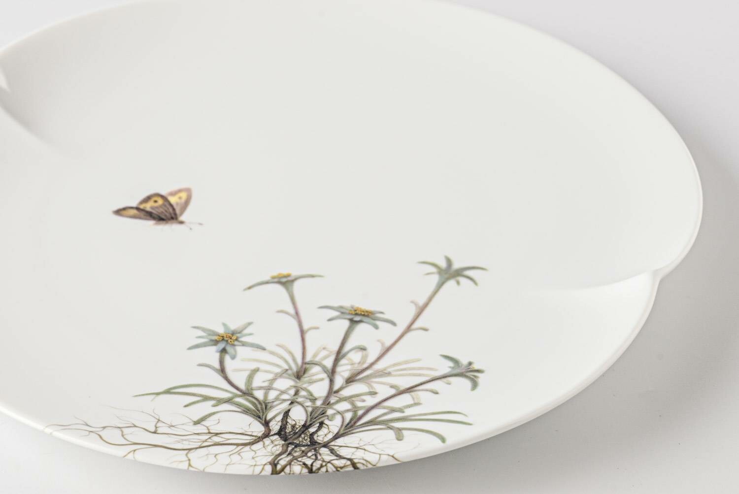 A white, hand-painted daisy on a white, ceramic plate.