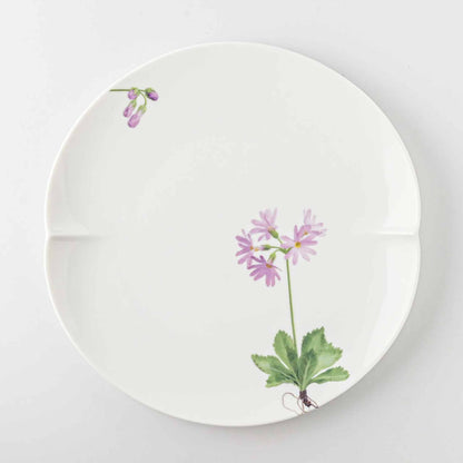 A white porcelain plate with a delicate, hand-painted daisy design in soft pink and green.