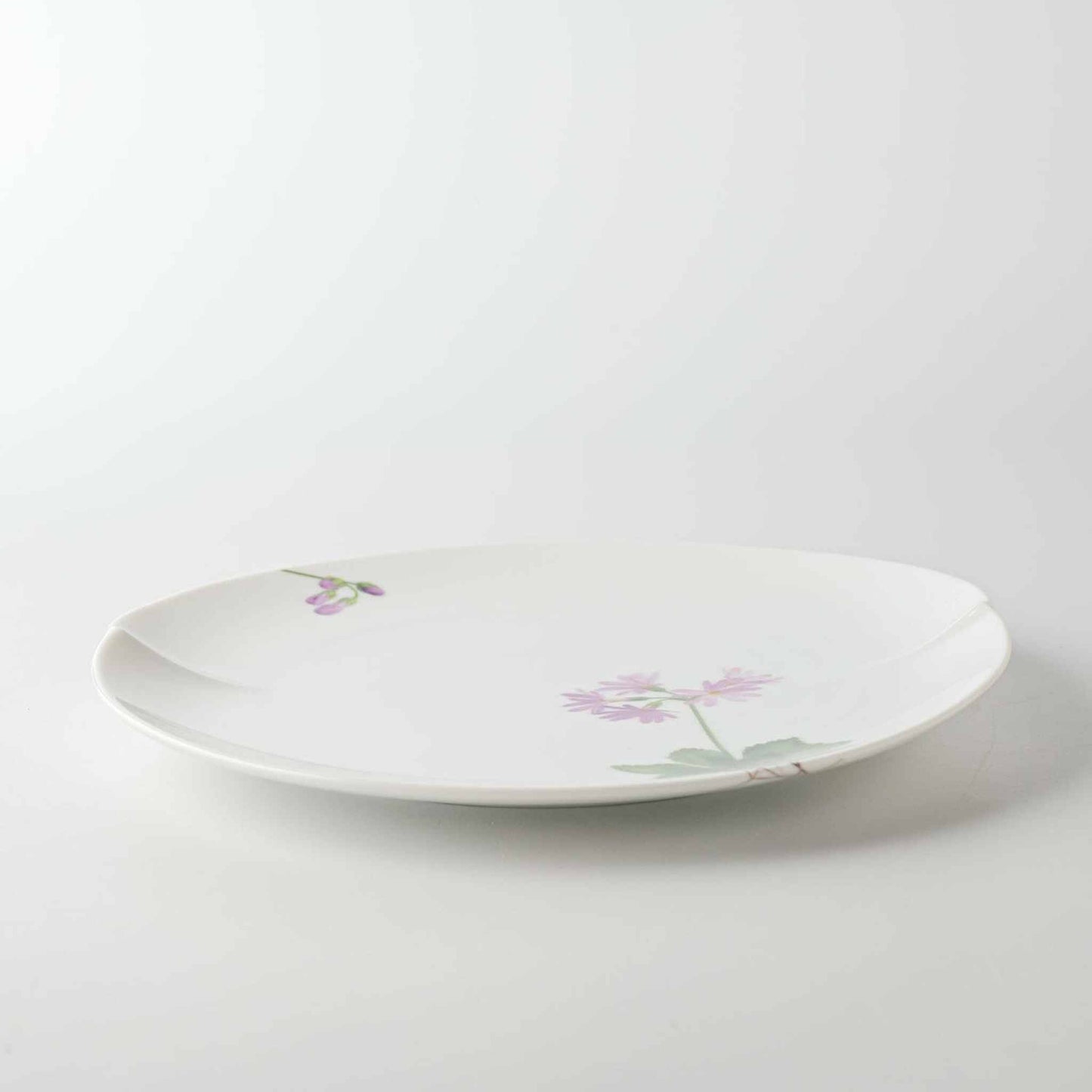 A white, delicate, and elegant 8-inch porcelain plate with a daisy design.