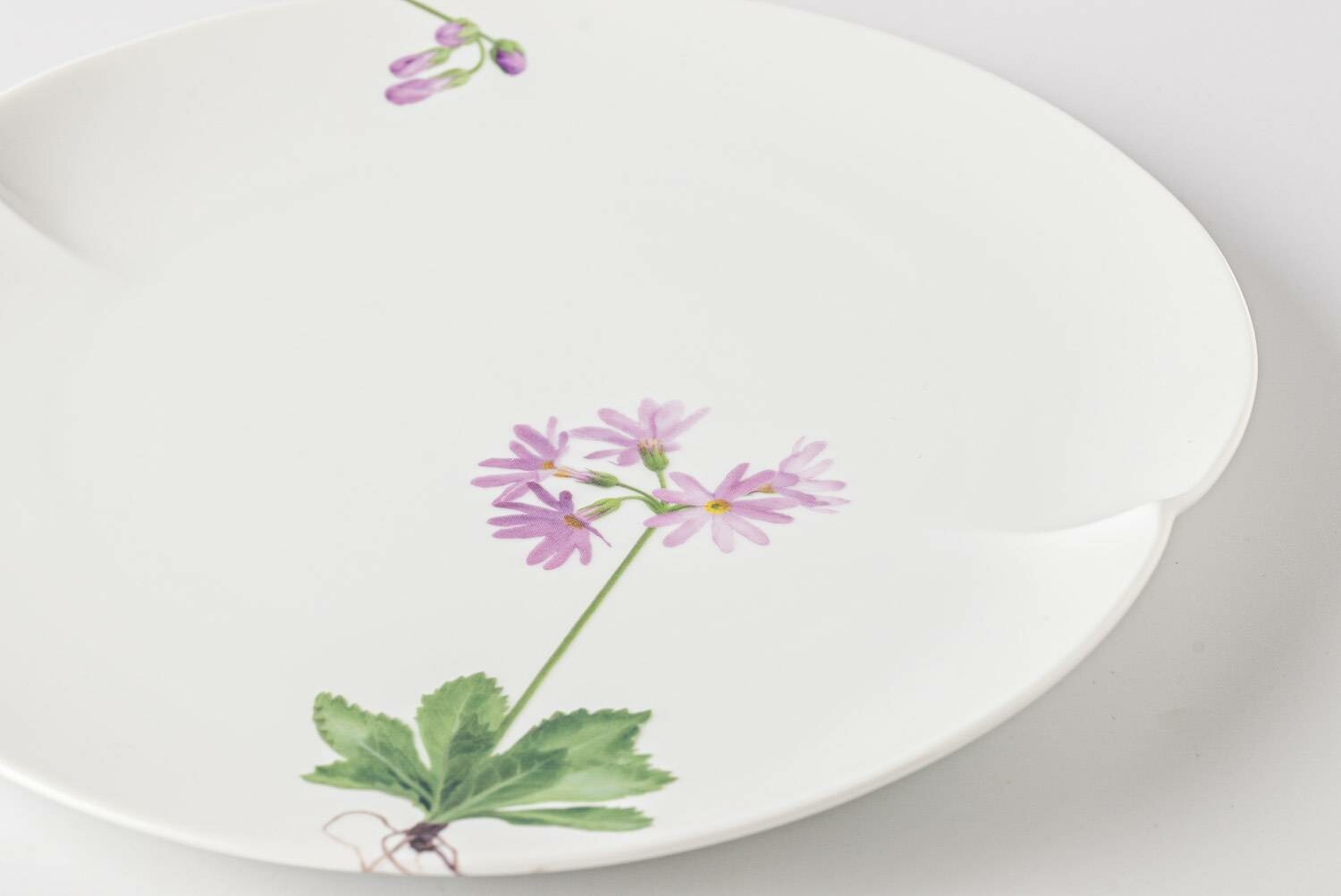 A delicate, hand-painted daisy on a white, ceramic plate.