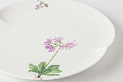 A delicate, hand-painted daisy on a white, ceramic plate.