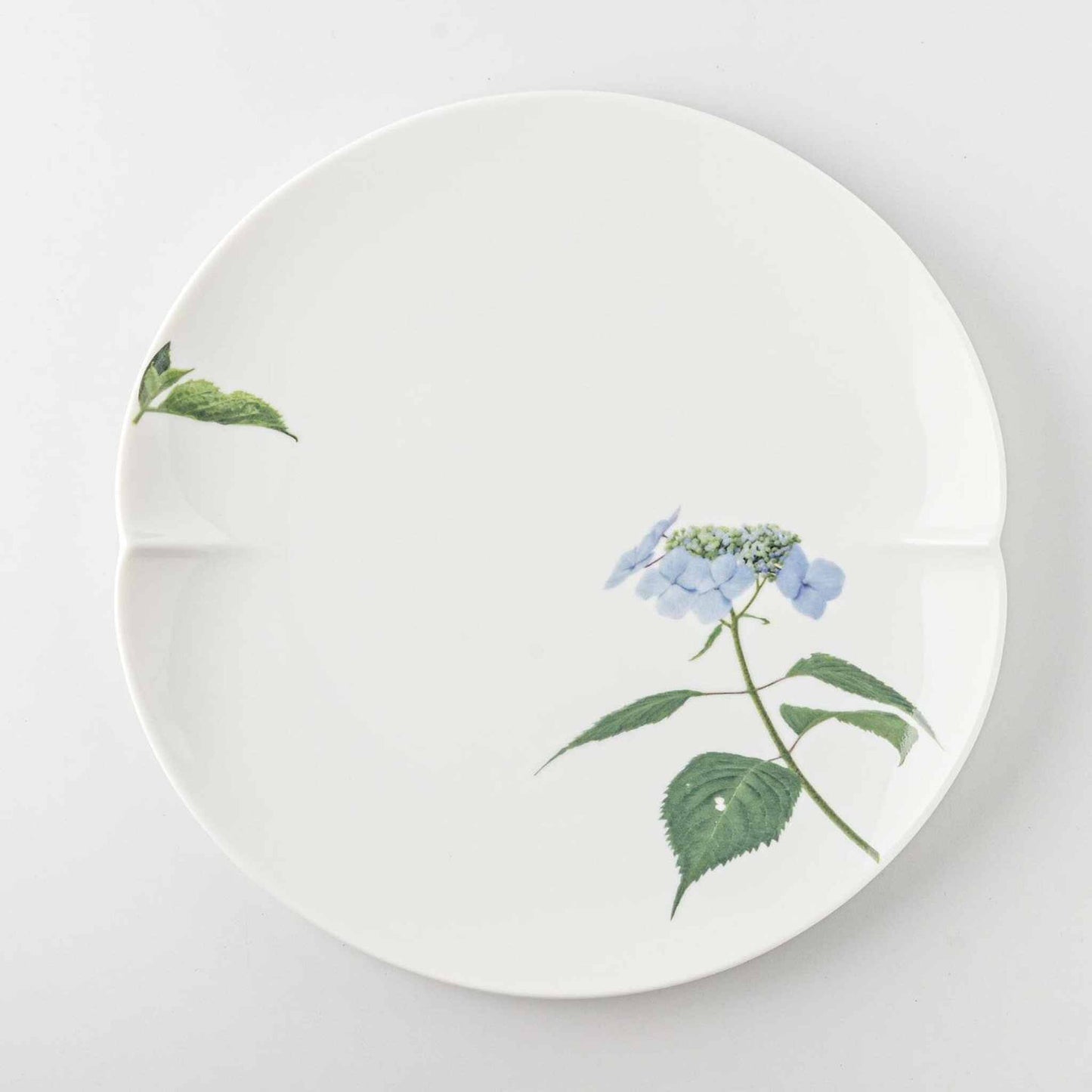 A white, 8-inch porcelain plate with a delicate blue daisy design, set against a plain white background.