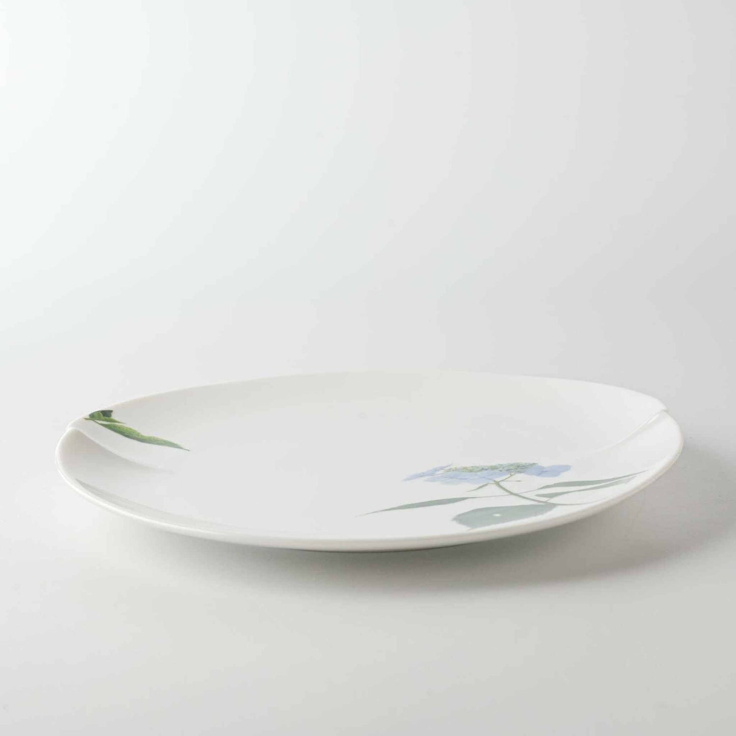 A white, delicate, and hand-painted 8-inch porcelain plate with a daisy design.