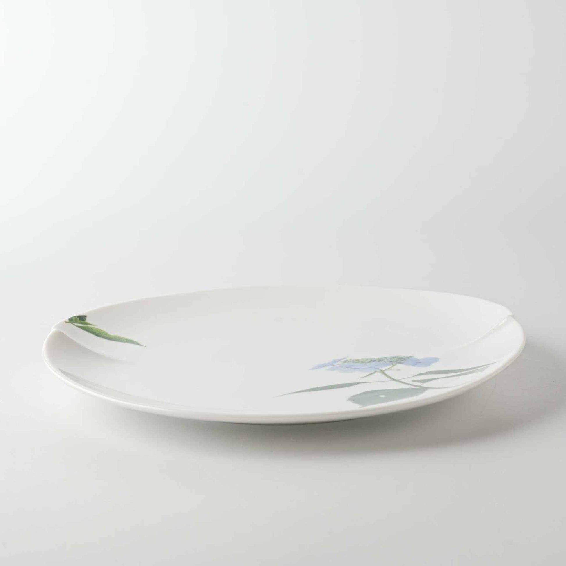 A white, delicate, and hand-painted 8-inch porcelain plate with a daisy design.
