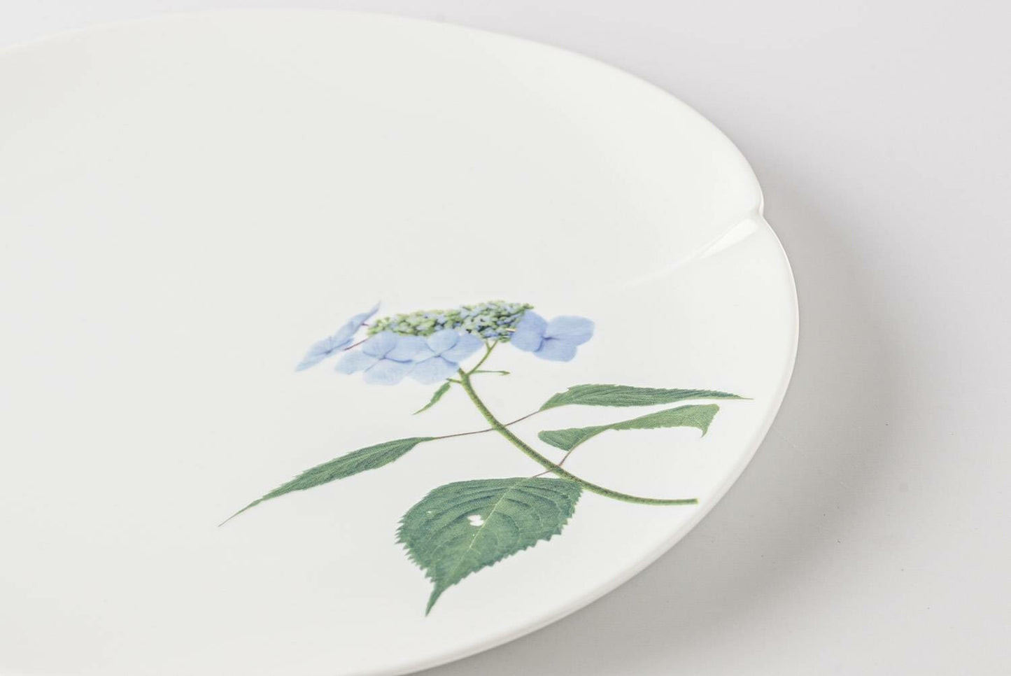 A delicate, white, porcelain plate with a beautiful, hand-painted daisy design.
