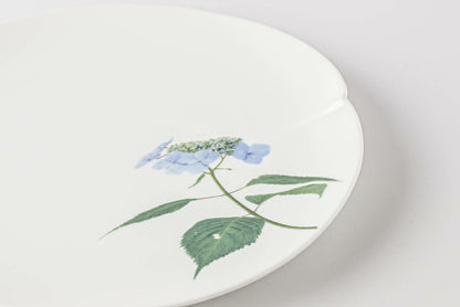 A delicate, white, porcelain plate with a beautiful, hand-painted daisy design.