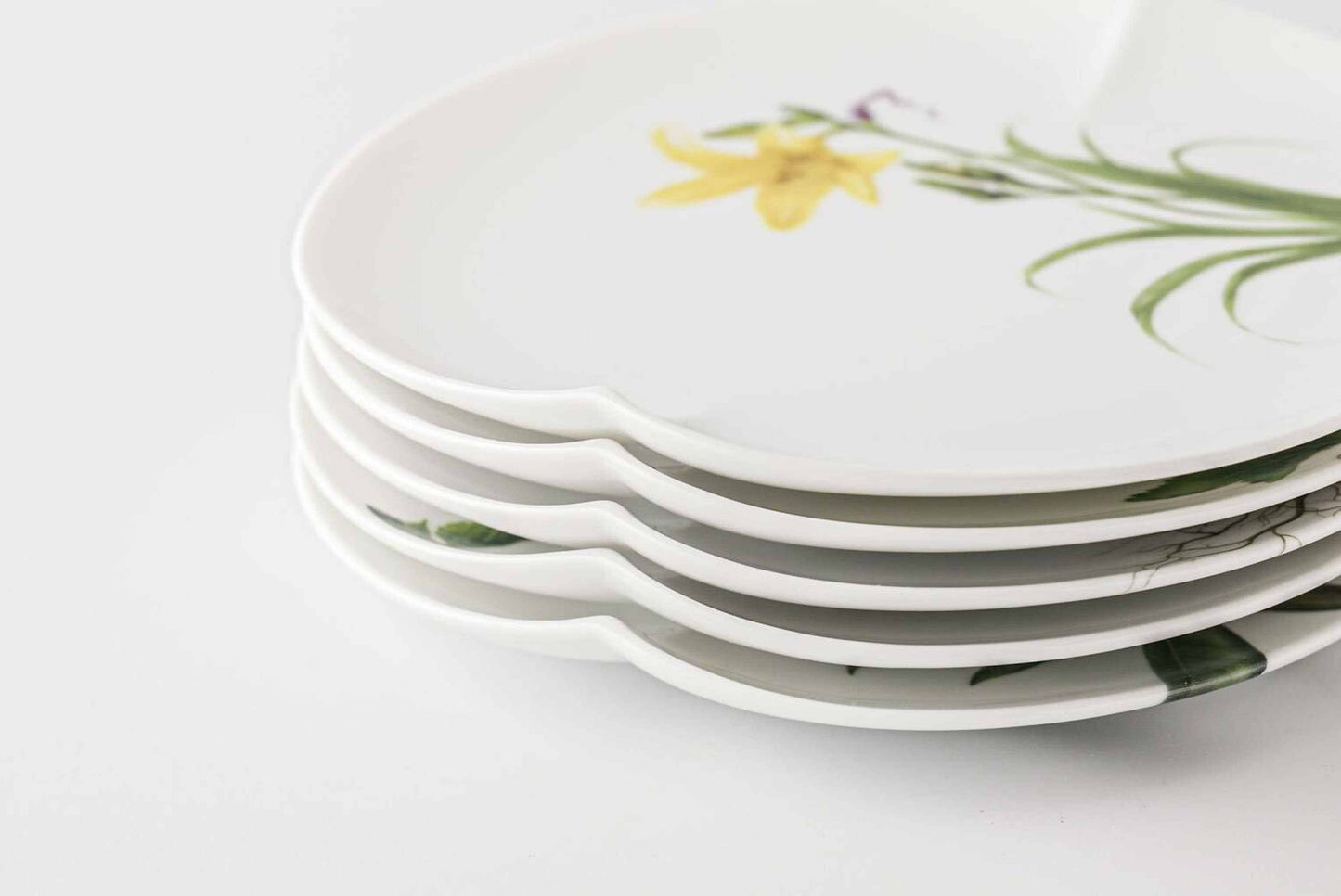 Mt. Tanigawa Mino Ware Botanical Porcelain Plate Collection - Small 6 in Yezo hydrangea