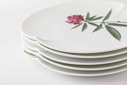 Mt. Tanigawa Mino Ware Botanical Porcelain Plate Collection - Medium 8 in Yezo hydrangea