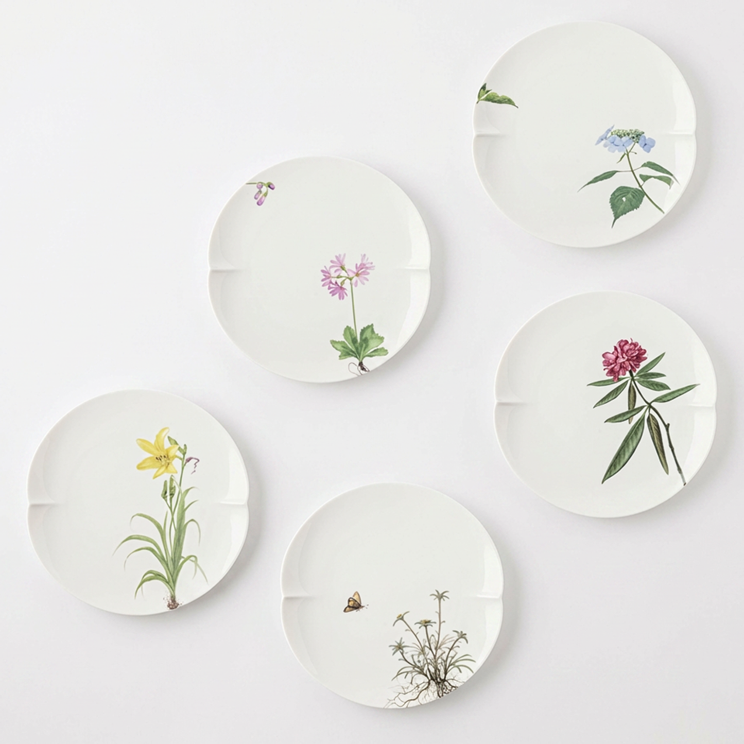 A set of five white, round, ceramic plates with botanical illustrations of various plants, set against a white background.