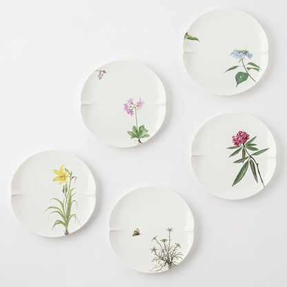 A set of five white, round, ceramic plates with botanical illustrations of various plants, set against a white background.
