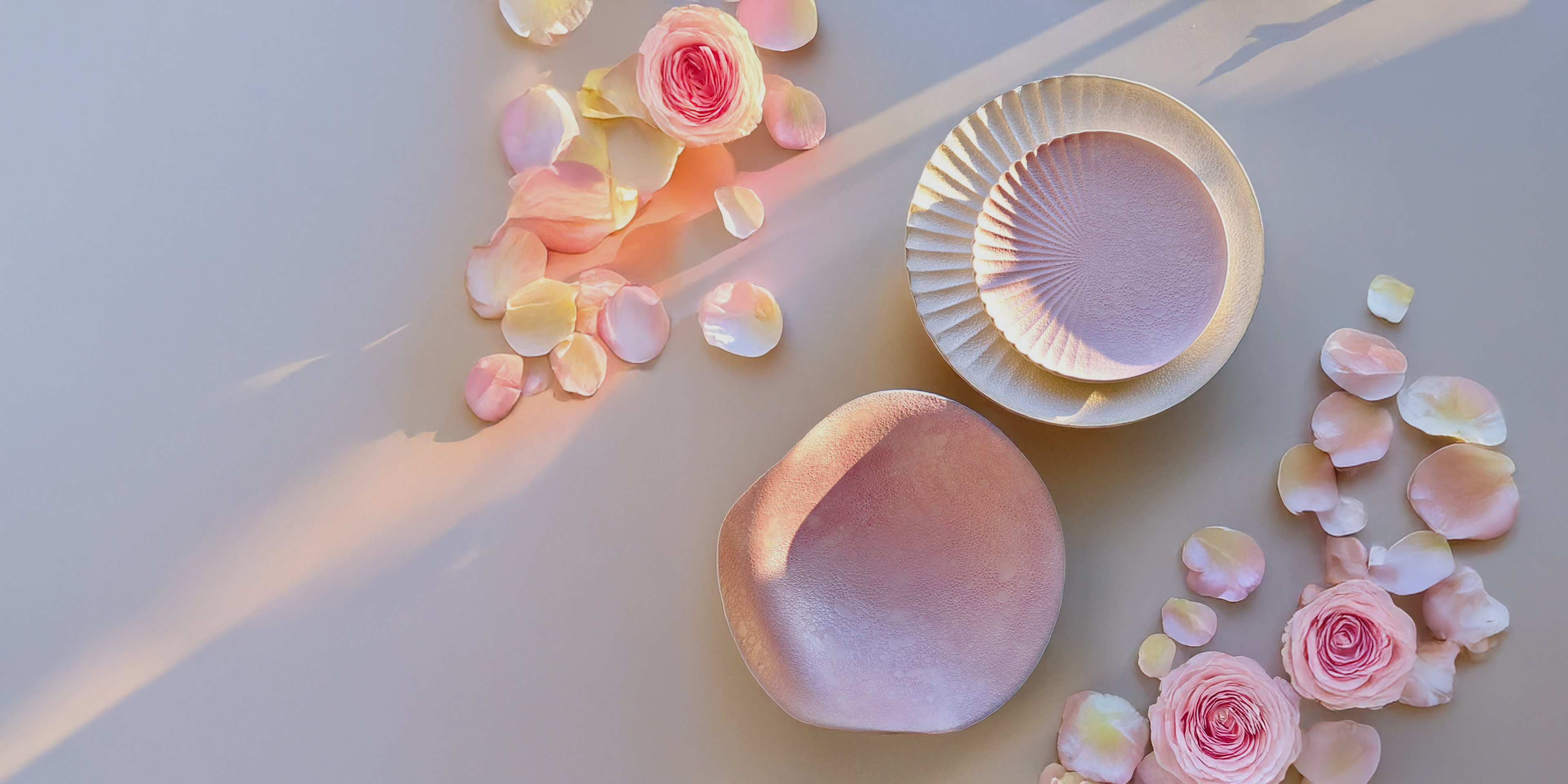 Pink seashells and flower petals on a white surface