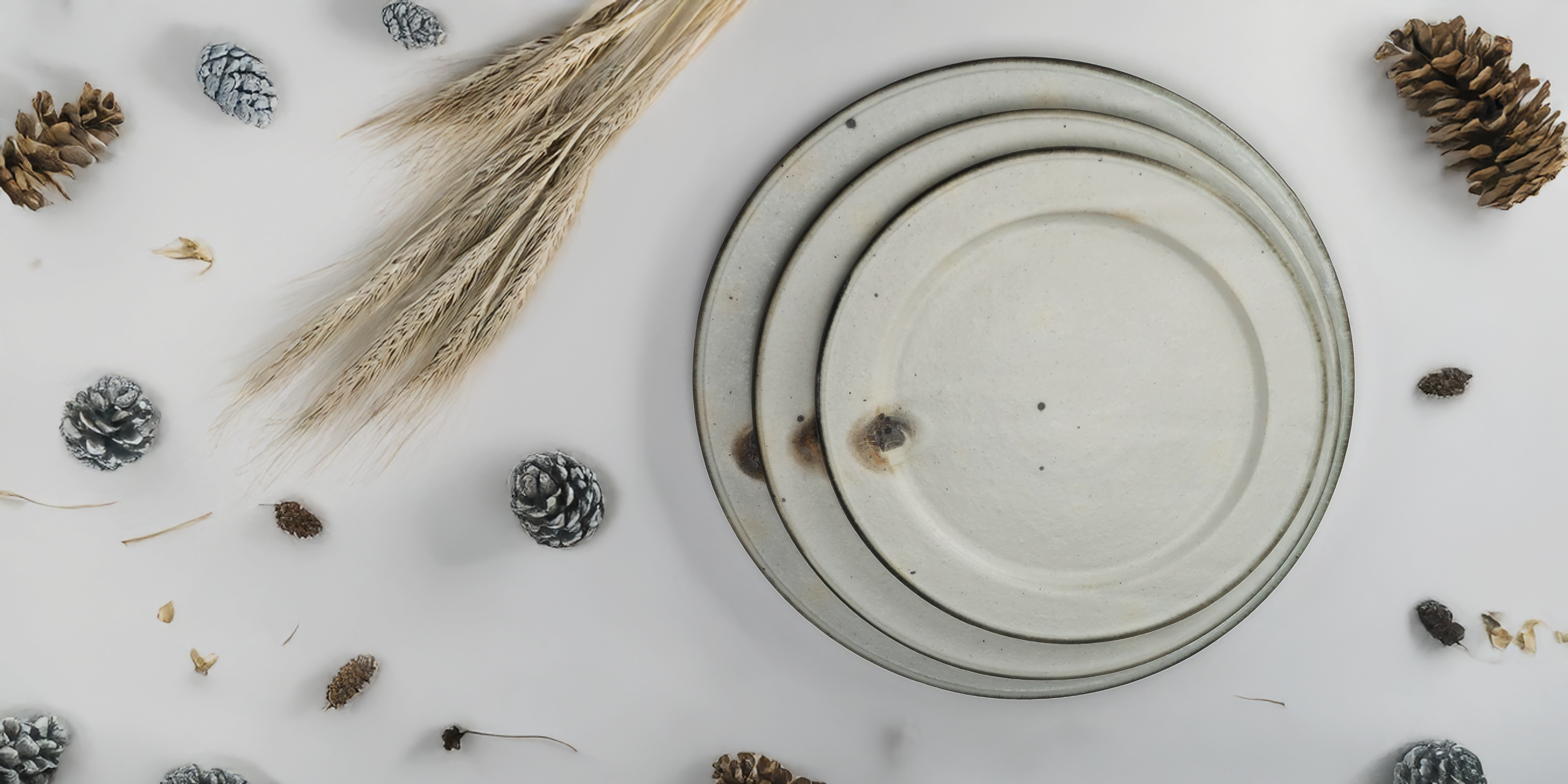 Set of ceramic plates on a white surface with decorative elements like pine cones and dried grass.